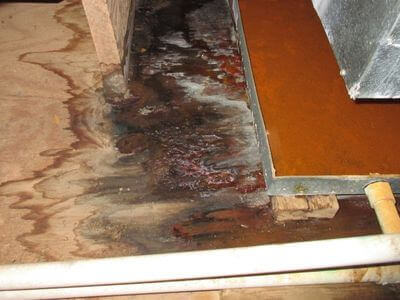 About water damage restoration service - commercial water damage restoration experts in Phoenix